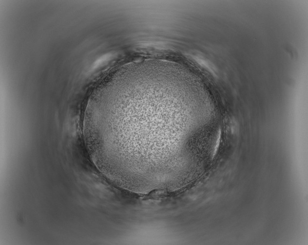 X0000113330965200910131145