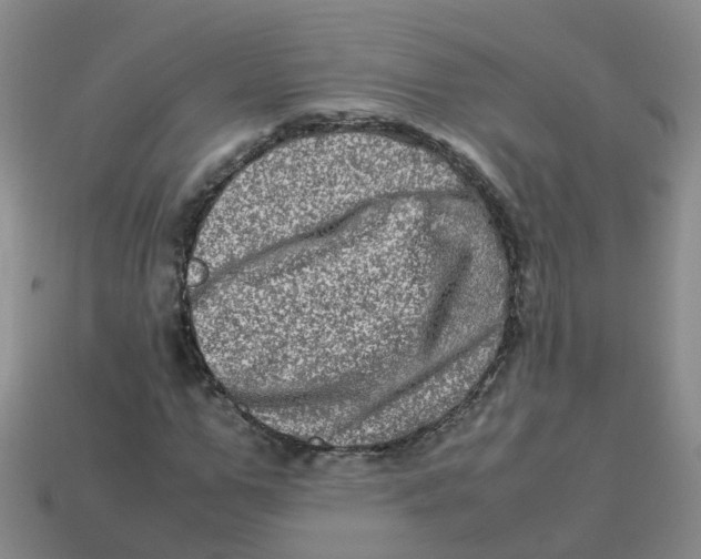 X0000113330967200910131145