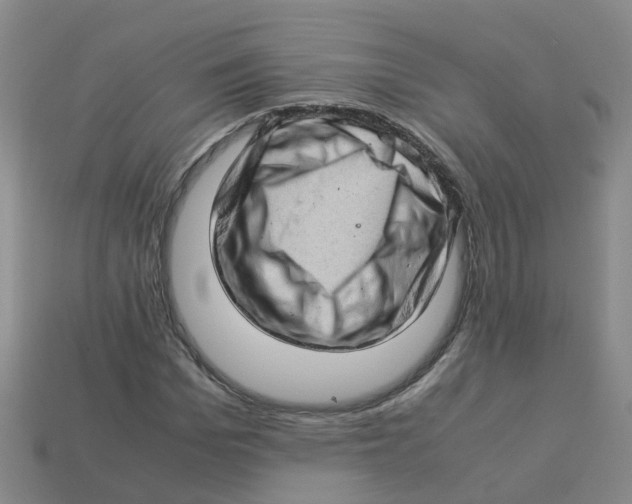 X0000113330969200910131145