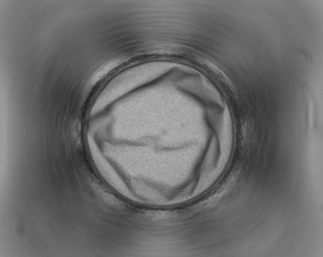 X0000113330970200910131145
