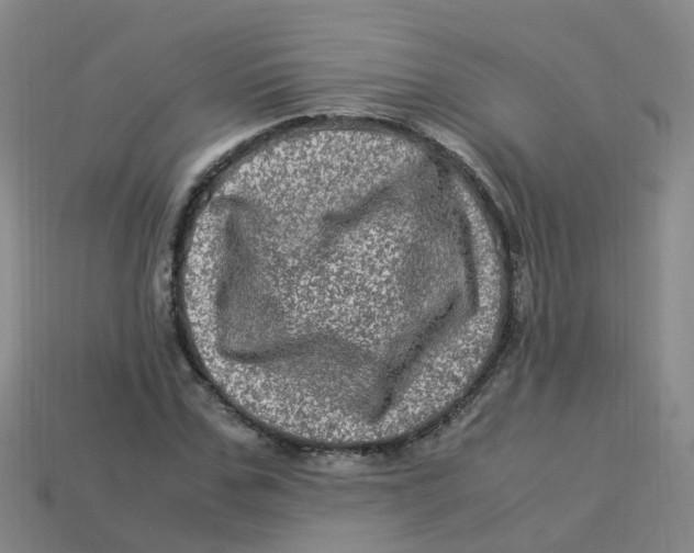 X0000113330971200910131145