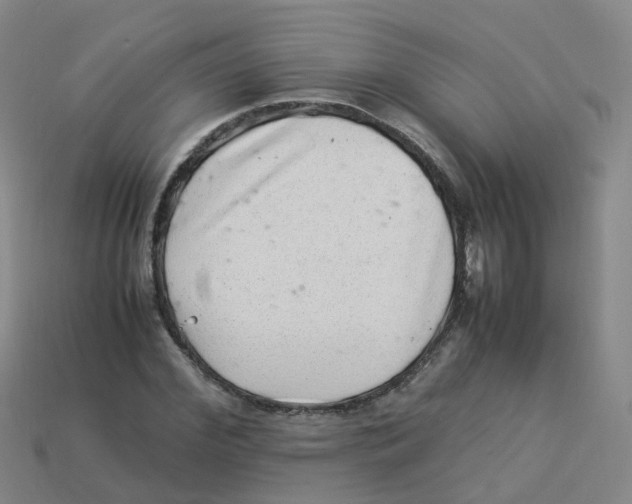 X0000113330972200910131145