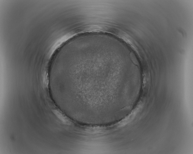 X0000113330973200910131145