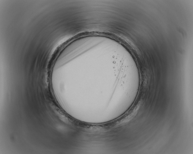 X0000113330974200910131145