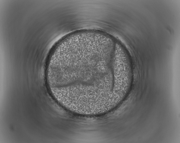 X0000113330975200910131145