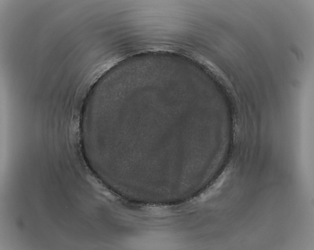 X0000113330977200910131145