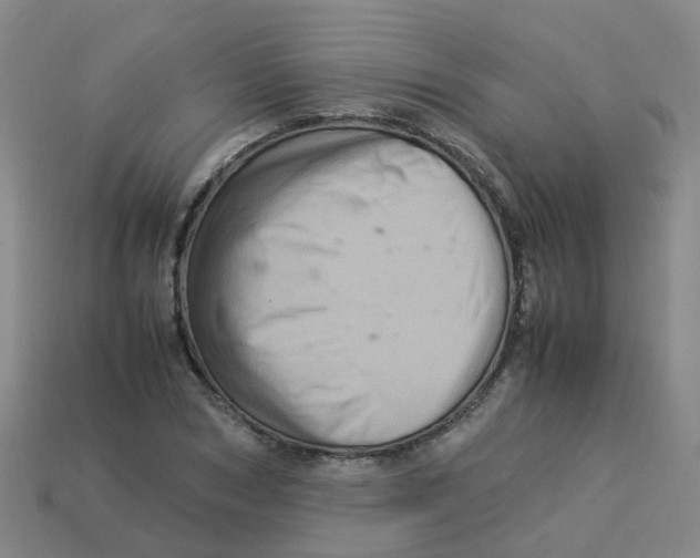 X0000113330978200910131145