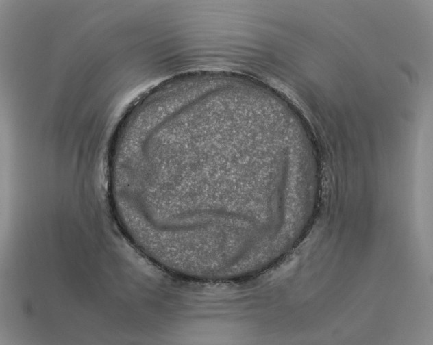 X0000113330979200910131145