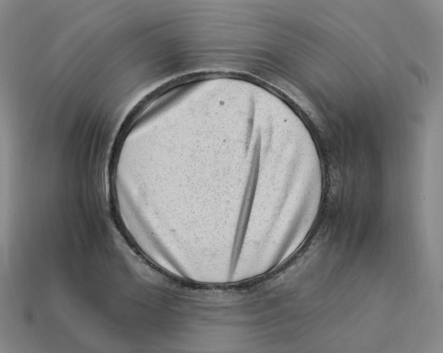 X0000113330980200910131145