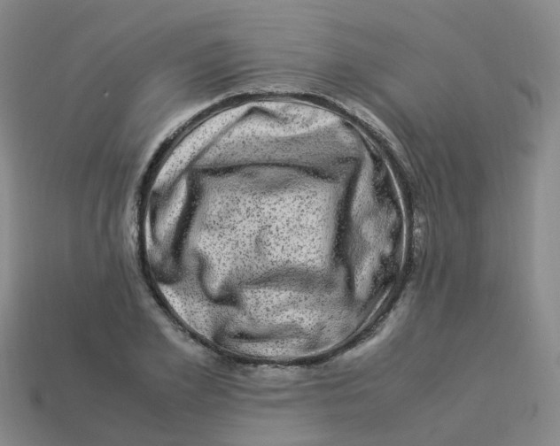 X0000113330981200910131145