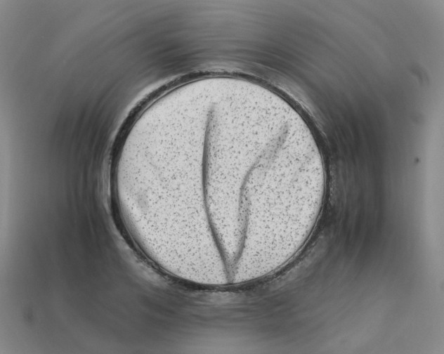 X0000113330984200910131145
