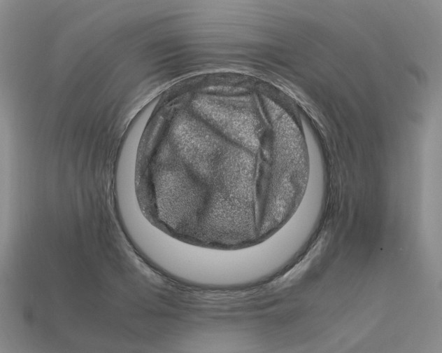 X0000113330985200910131145