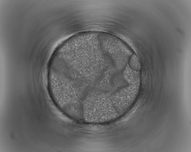 X0000113330987200910131145