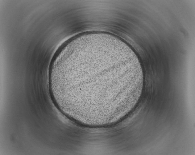 X0000113330988200910131145