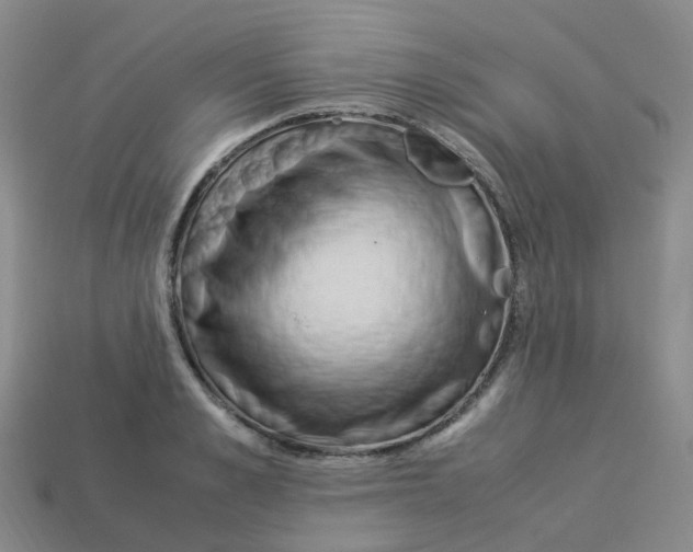 X0000113330989200910131145
