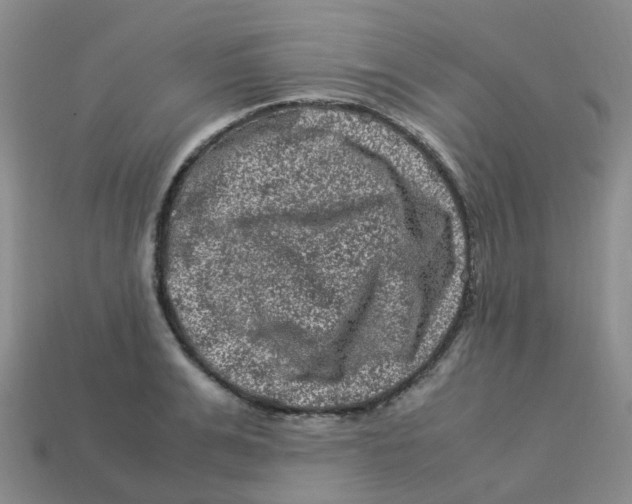 X0000113330991200910131145