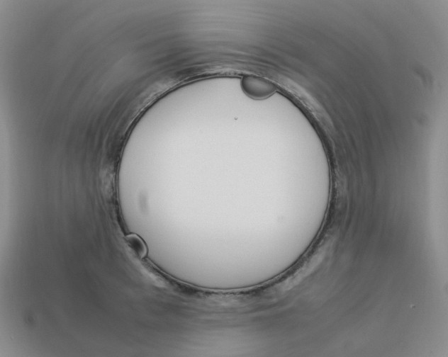 X0000113330993200910131145