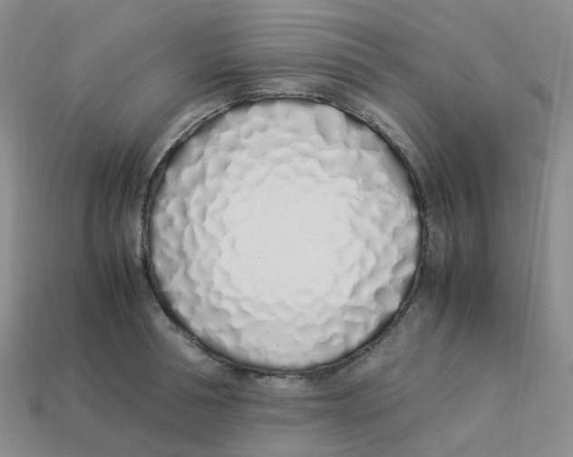 X0000113330994200910131145