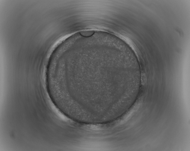 X0000113330995200910131145