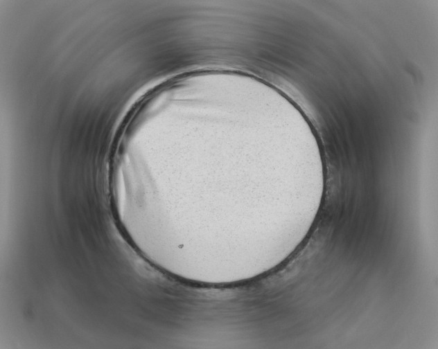 X0000113330996200910131145
