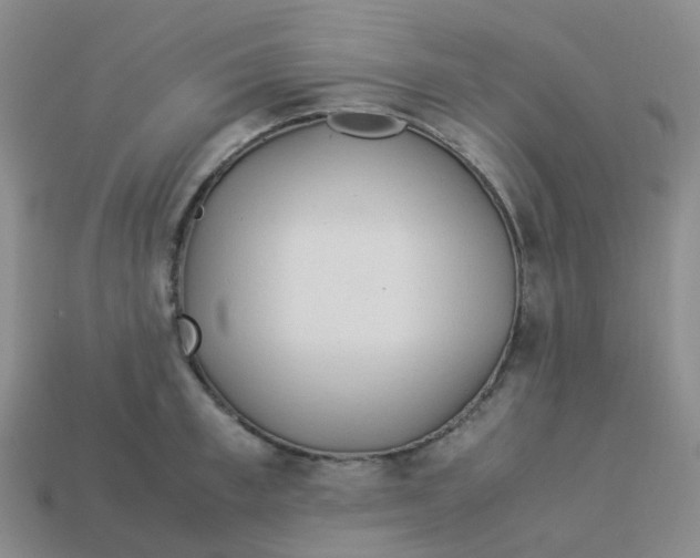 X0000113330997200910131145
