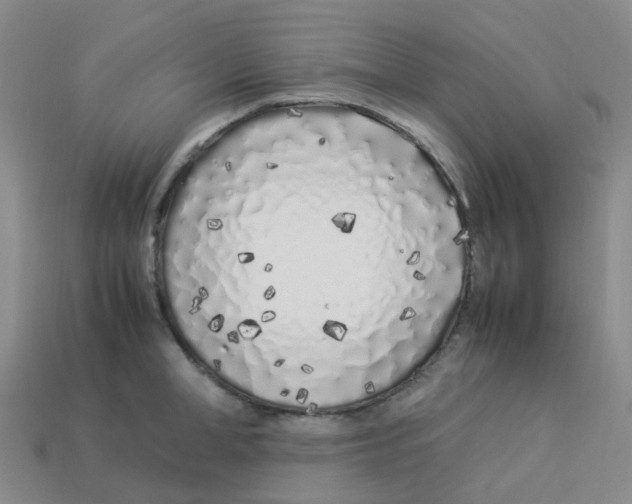 X0000113330998200910131145