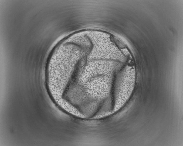 X0000113330999200910131145