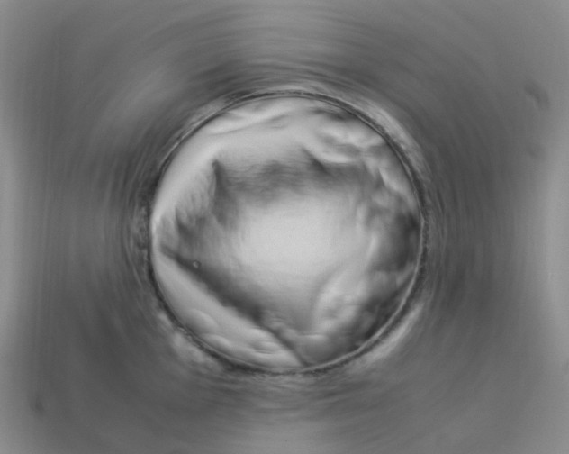 X0000113331001200910131145