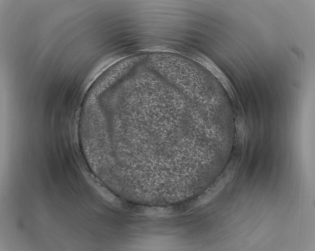X0000113331002200910131145