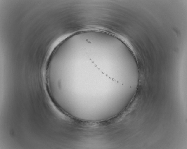 X0000113331003200910131145