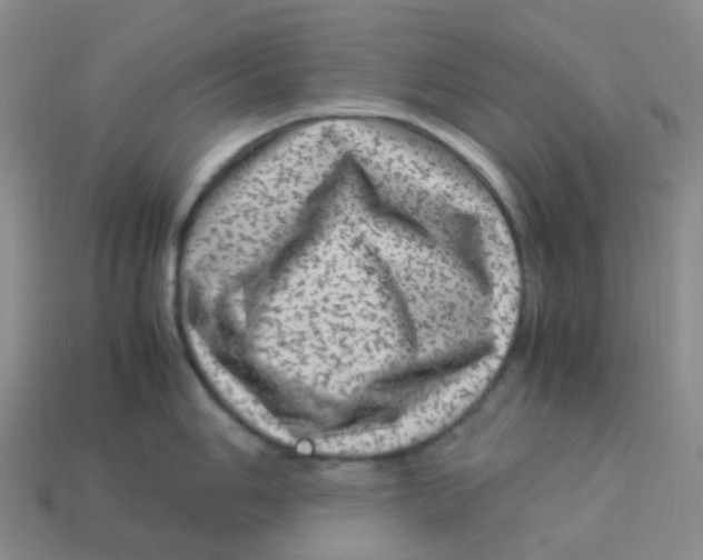 X0000113331006200910131145