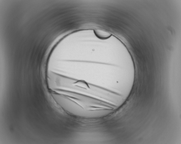 X0000113331008200910131145