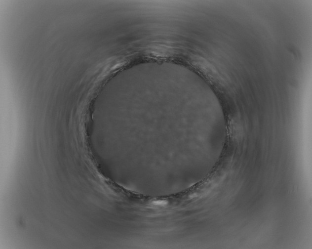 X0000113331009200910131144