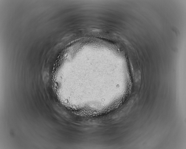 X0000113331011200910131144