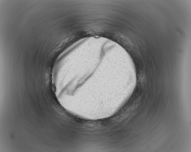 X0000113331012200910131144