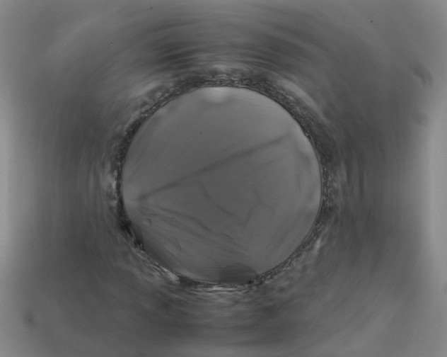 X0000113331013200910131144