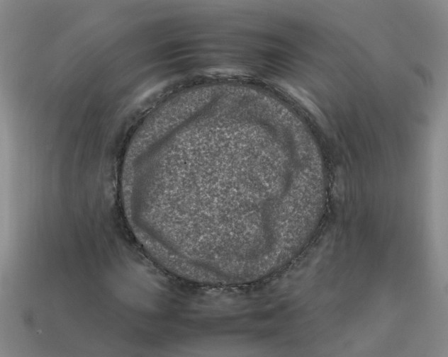 X0000113331015200910131144