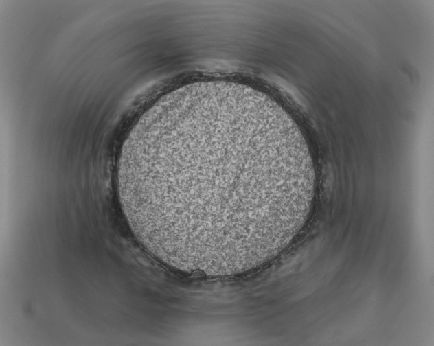 X0000113331016200910131144