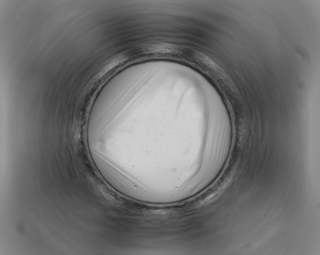 X0000113331017200910131144