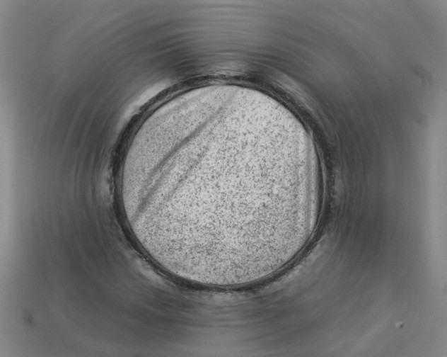 X0000113331018200910131144