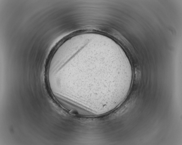 X0000113331020200910131144
