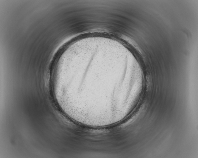 X0000113331021200910131144