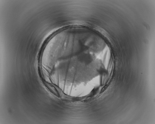 X0000113331024200910131144