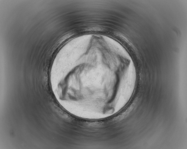 X0000113331025200910131144