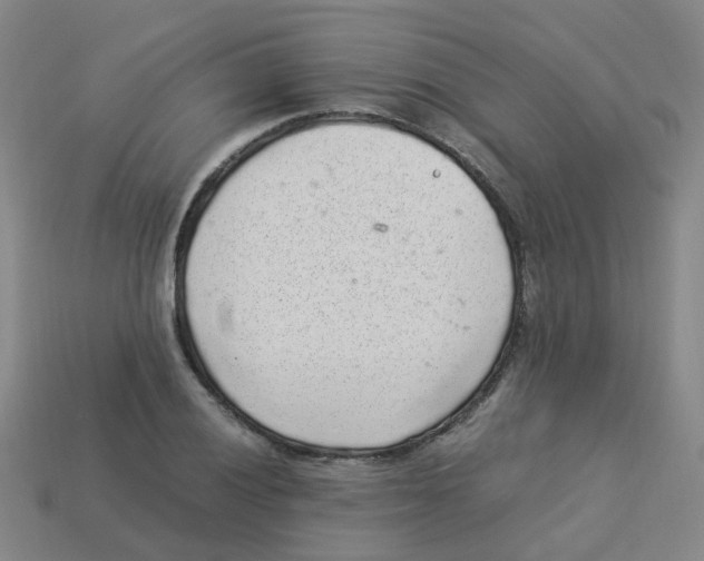 X0000113331028200910131144