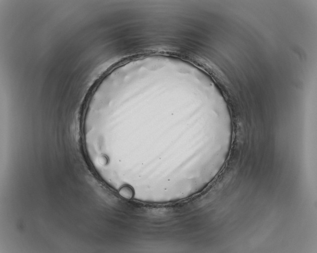 X0000113331031200910131144