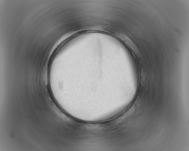 X0000113331036200910131144