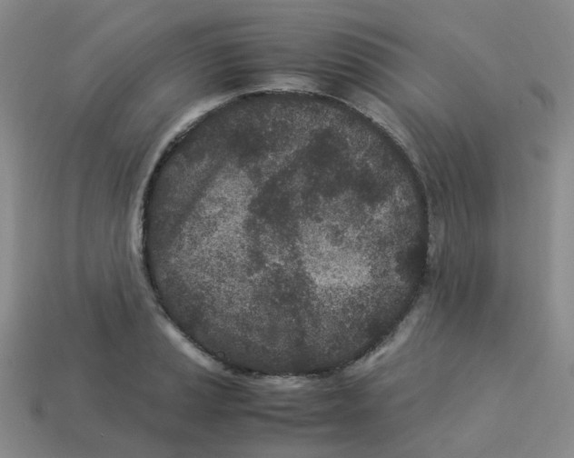 X0000113331037200910131144