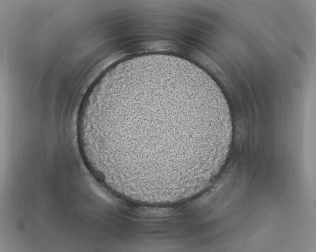 X0000113331039200910131144