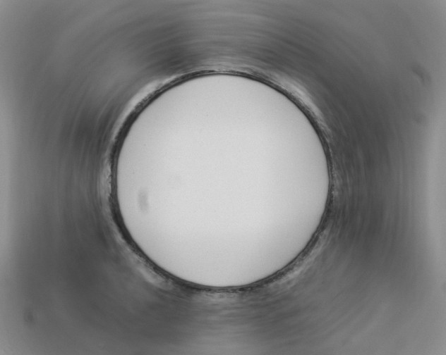 X0000113331040200910131144